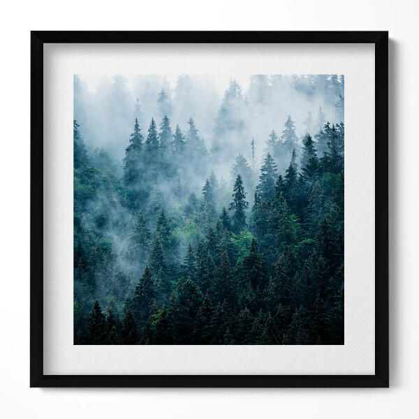 Keretezett falikép Füves ködös erdő