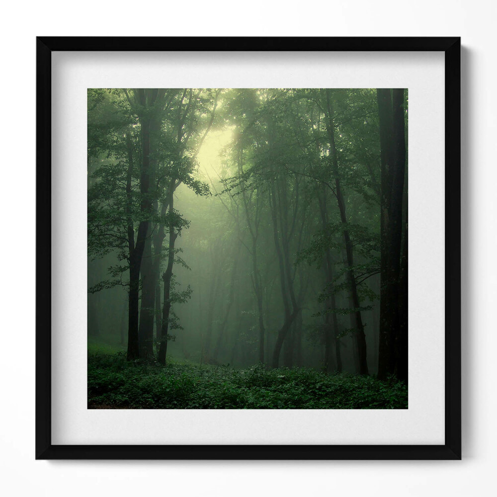 Keretezett falikép Zöld erdő ködben