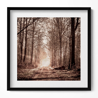 Keretezett falikép Fás út napfényes táj