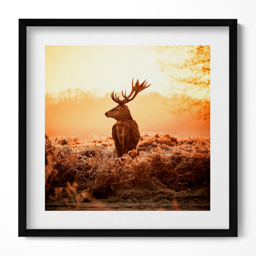 Keretezett falikép Szarvas naplementében