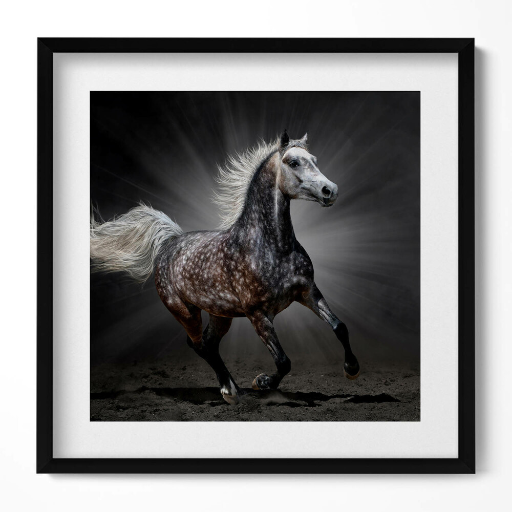 Keretezett falikép Futó ló fényes háttérrel