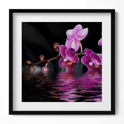 Keretezett falikép Lila orchidea víz tükröződésével