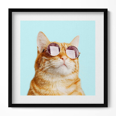 Keretezett falikép Cicás napszemüveges portré