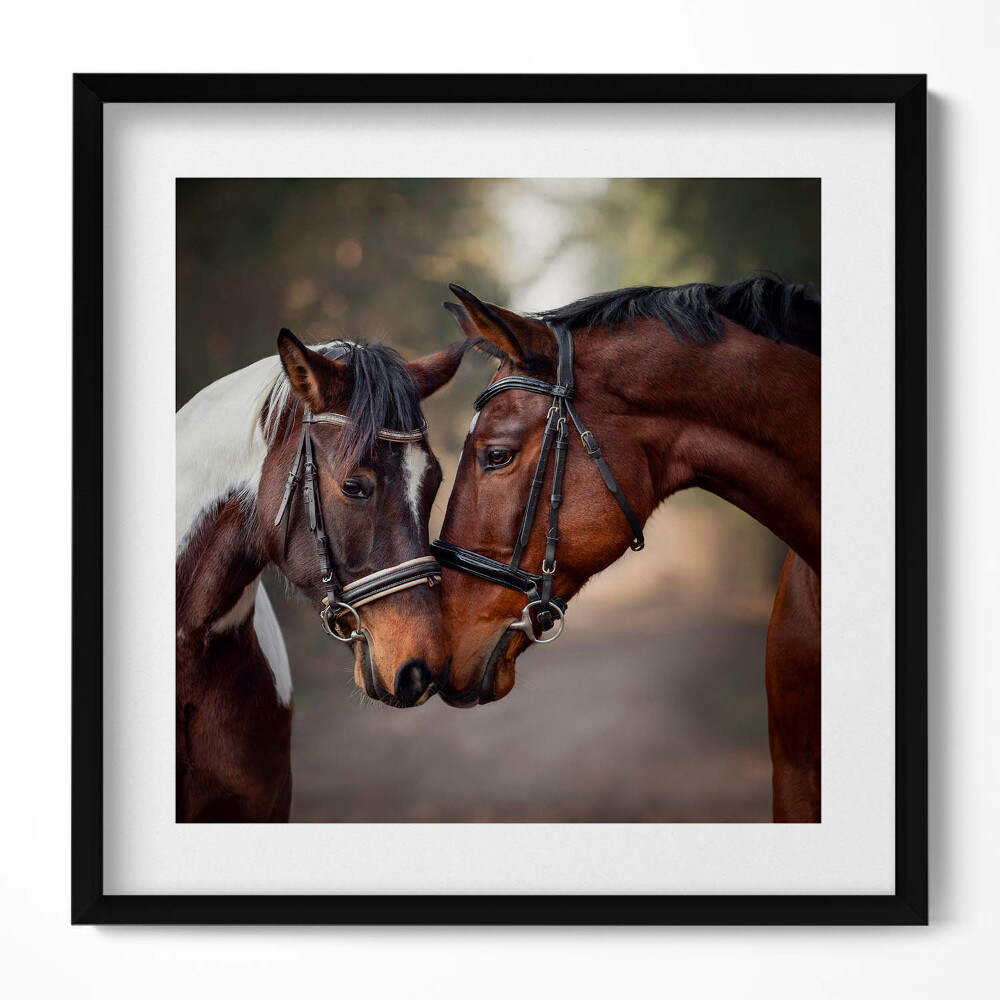 Keretezett falikép Két ló összeborulása