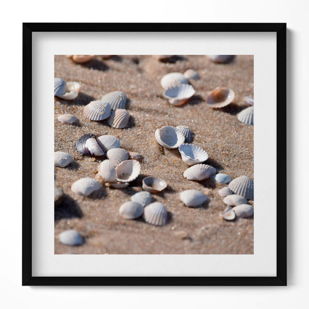 Keretezett falikép Héjhéjak tengerparti homokban