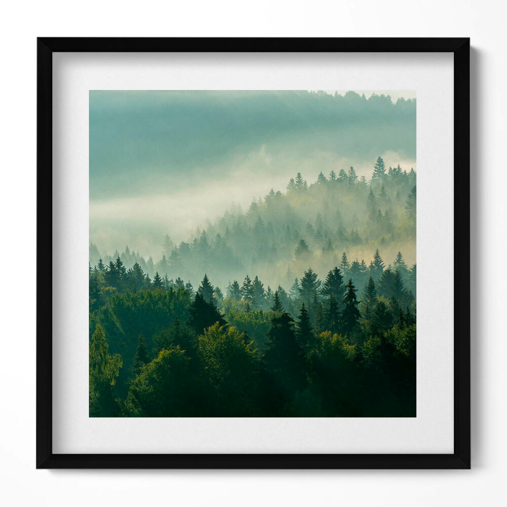 Keretezett falikép Ködös erdő táj