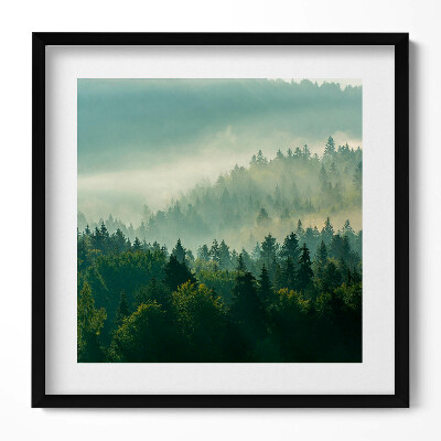 Keretezett falikép Ködös erdő táj