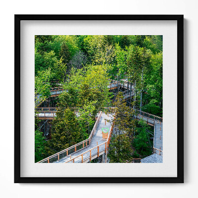 Keretezett falikép Zöld fák és fapalló