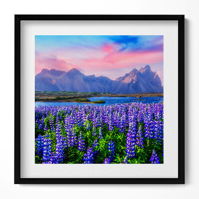 Keretezett falikép Lepkék és hegyek virágzó mezője