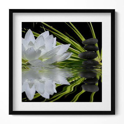 Keretezett falikép Fehér vízililiom kövek vízfelszín
