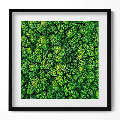 Keretezett falikép Zöld fák sűrű lombkoronája