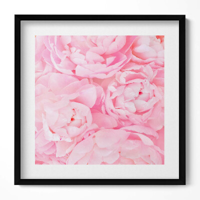 Keretezett falikép Rózsaszínű virágok peóniák