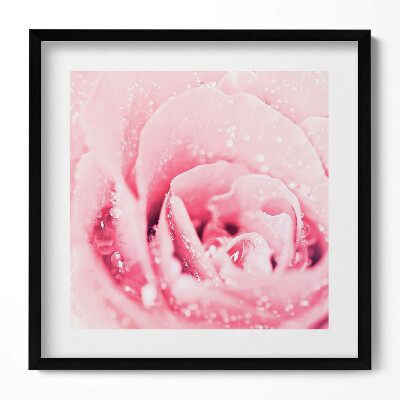 Keretezett falikép Rózsás virág vízcseppekkel