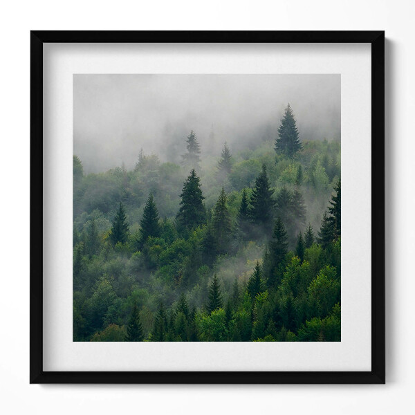 Keretezett falikép Zöld erdő ködben