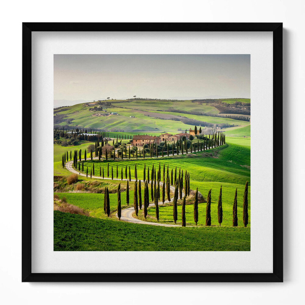 Keretezett falikép Toszkán táj ciprusfák sorai