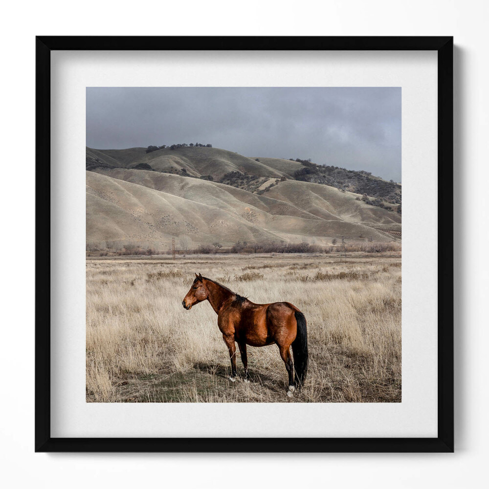 Keretezett falikép Ló a dombos tájban