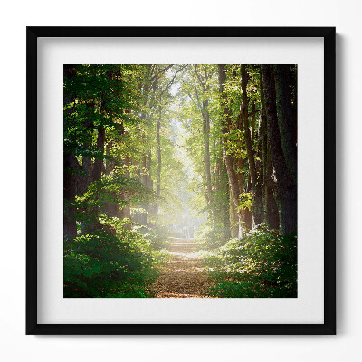 Keretezett falikép Zöld erdei ösvény napfényben