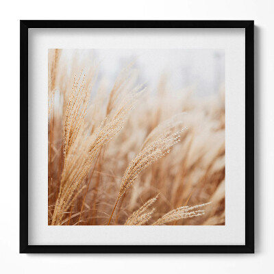 Keretezett falikép Száraz fű a természetben