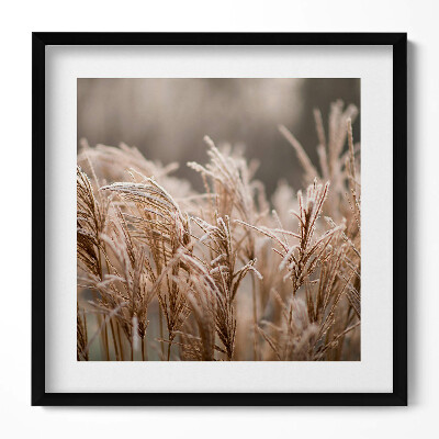 Keretezett falikép Fagyott fűszálak természetes táj
