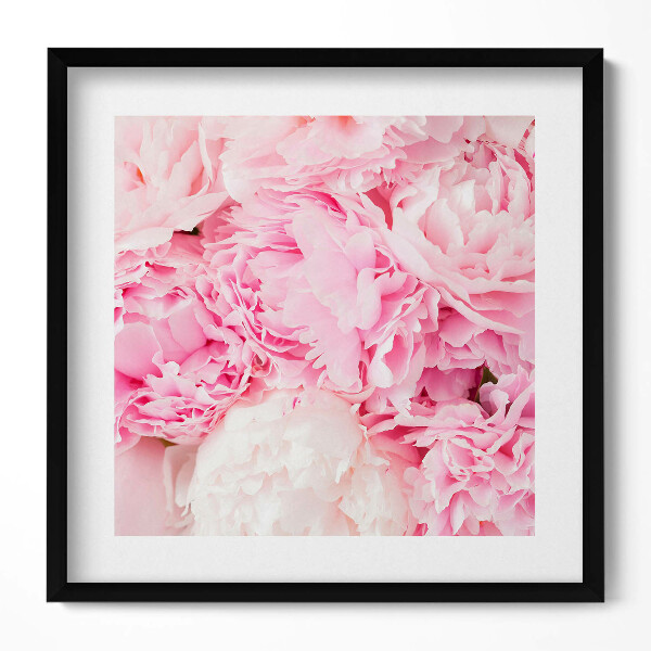 Keretezett falikép Rózsaszínű pézsmaboglárkák virágai