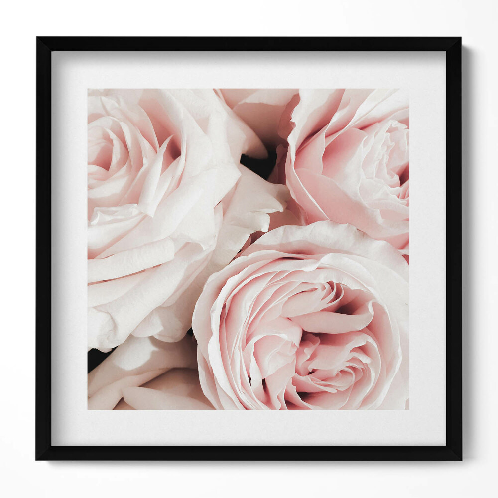 Keretezett falikép Rózsák finom árnyalatokban