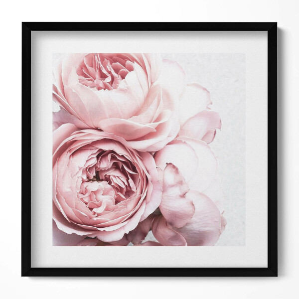 Keretezett falikép Rózsaszín rózsák csoportja