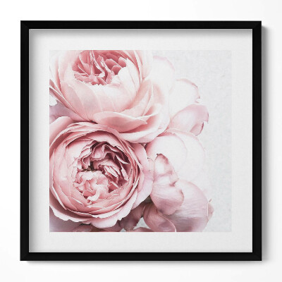 Keretezett falikép Rózsaszín rózsák csoportja