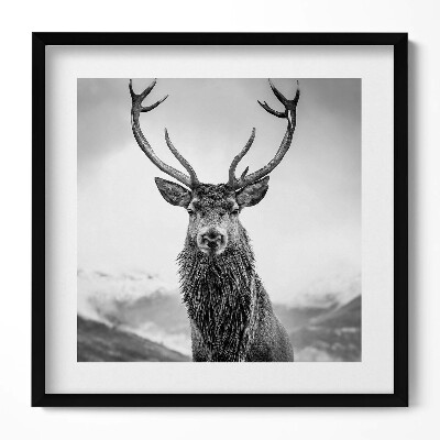 Keretezett falikép Szarvas portréja fekete-fehérben
