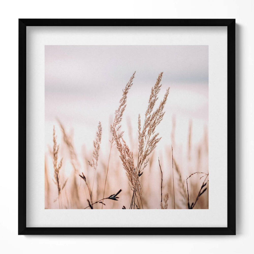 Keretezett falikép Száraz fű a háttérben