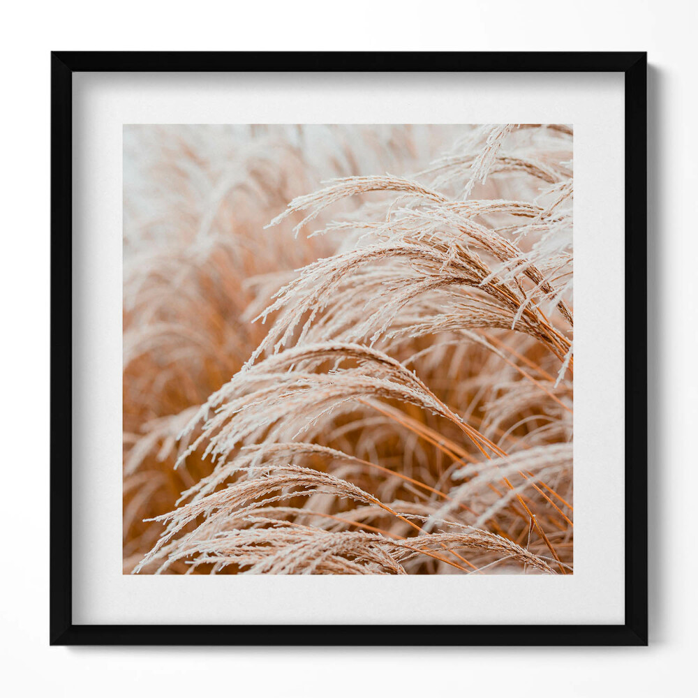Keretezett falikép Száraz fű harmatos reggel