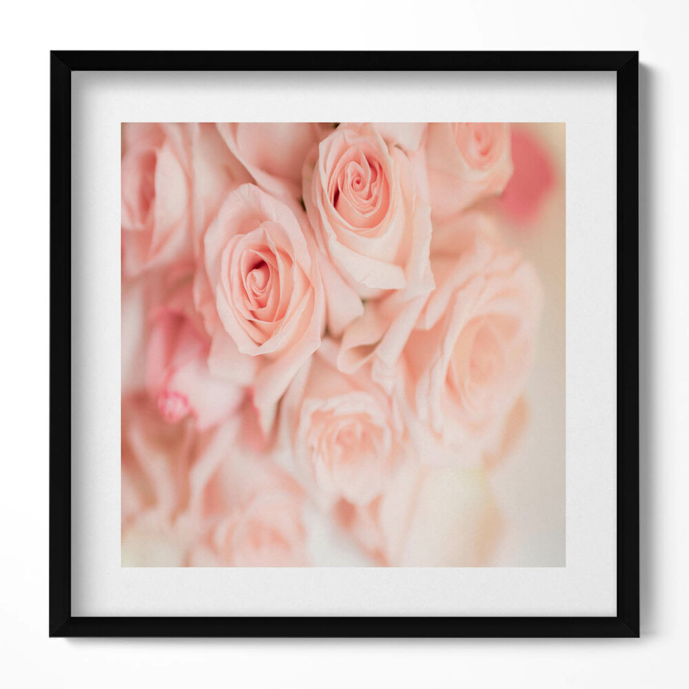 Keretezett falikép Rózsák halvány rózsaszínben