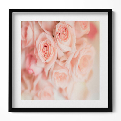 Keretezett falikép Rózsák halvány rózsaszínben