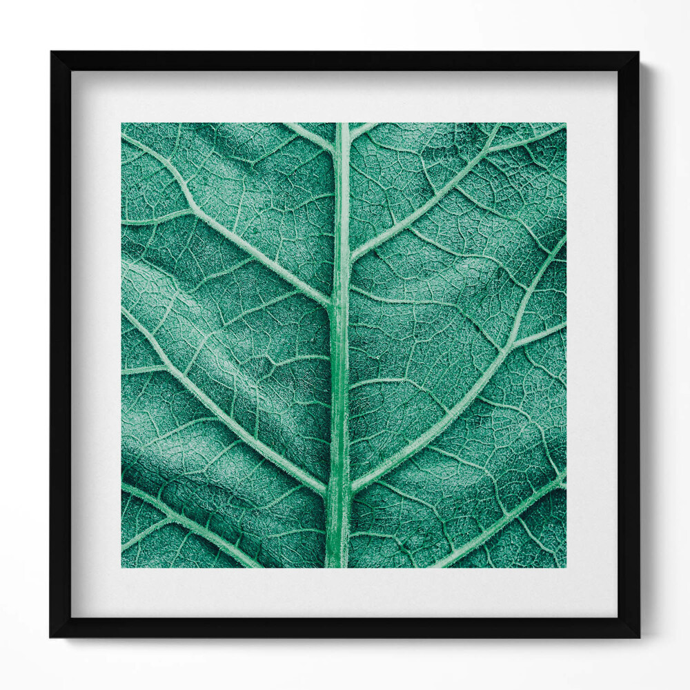 Keretezett falikép Növényi levél részlete