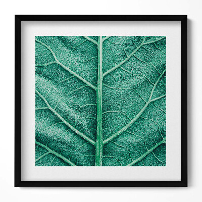 Keretezett falikép Növényi levél részlete