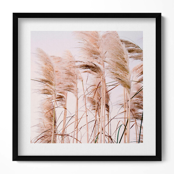 Keretezett falikép Pampafű csokrok fehér háttérrel