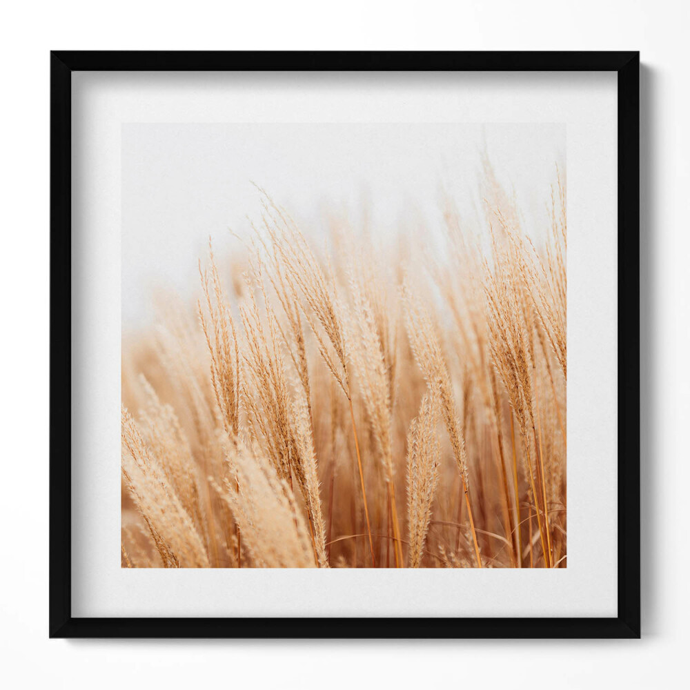 Keretezett falikép Sárgás fűtípusú növények