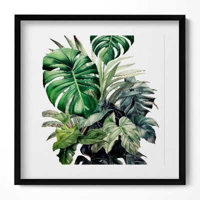 Keretezett falikép Zöld levelek és növények összhangja