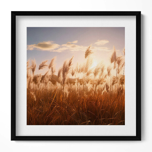 Keretezett falikép Naplemente és nádas