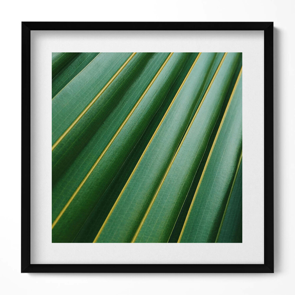 Keretezett falikép Zöld levelek párhuzamos vonalak