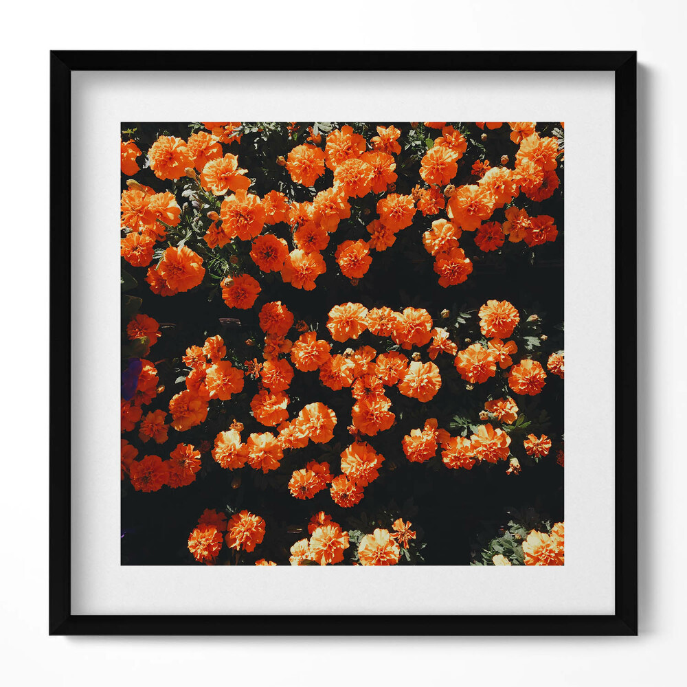 Keretezett falikép Narancssárga virágok tömege