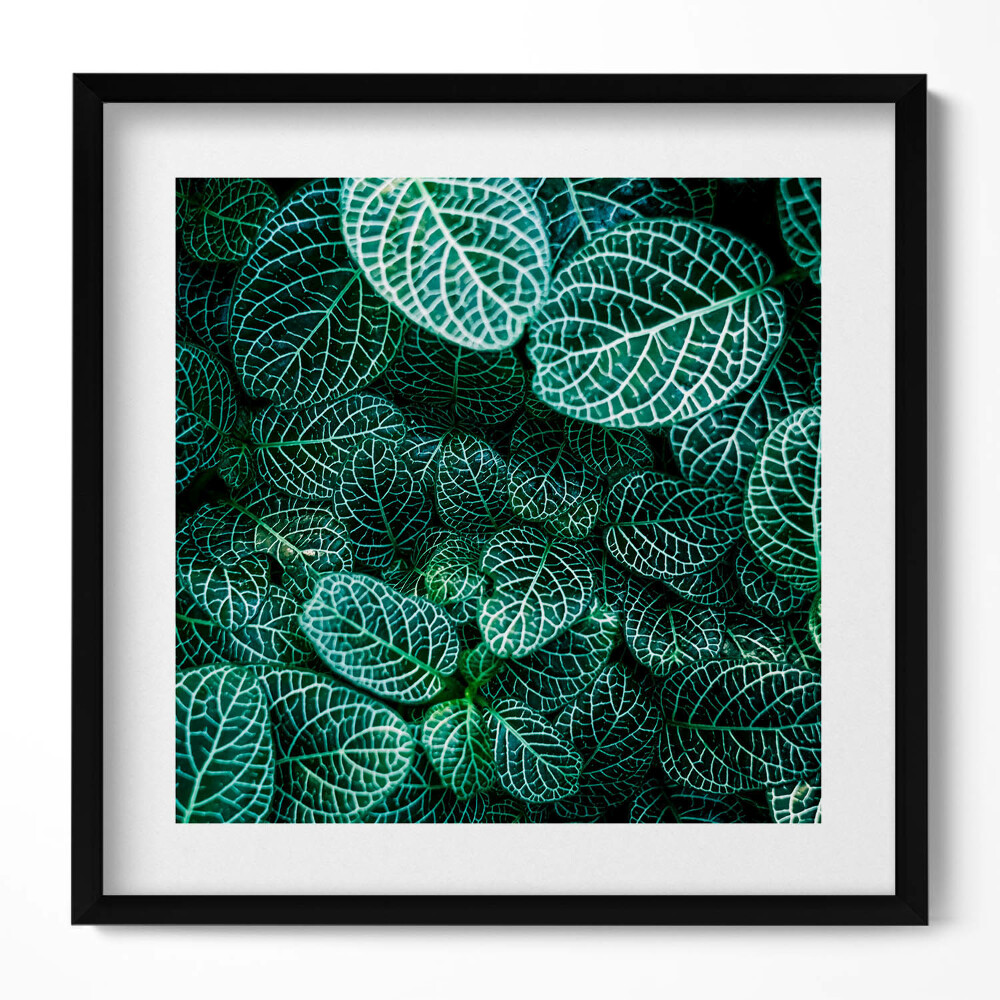 Keretezett falikép Zöld levelek mintázata