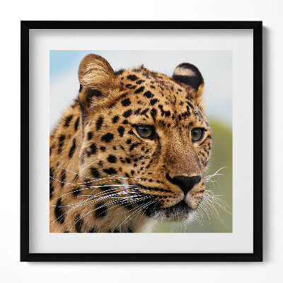 Keretezett falikép Leopárd portréja