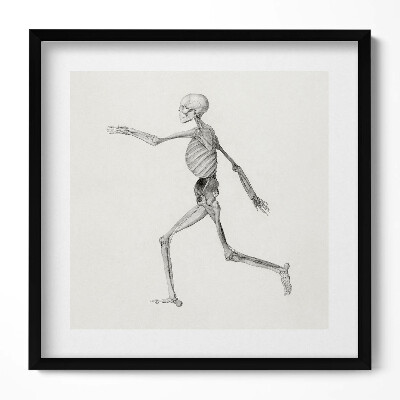 Keretezett falikép Futó emberi csontváz