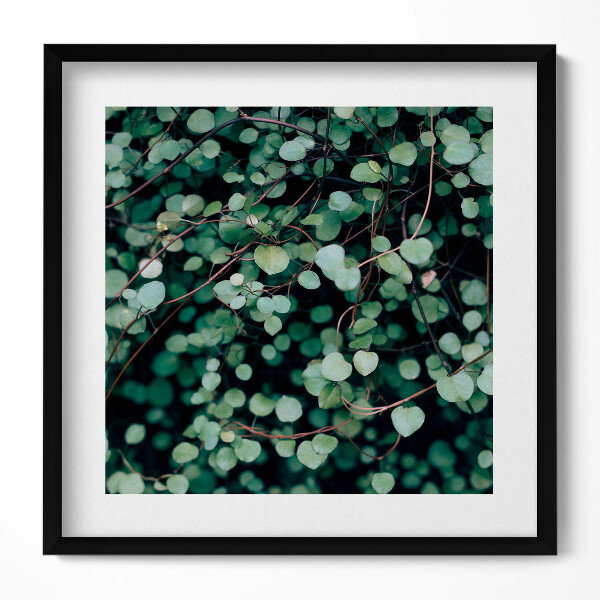 Keretezett falikép Zöld levelek természetes motívum