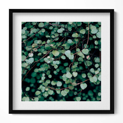 Keretezett falikép Zöld levelek természetes motívum