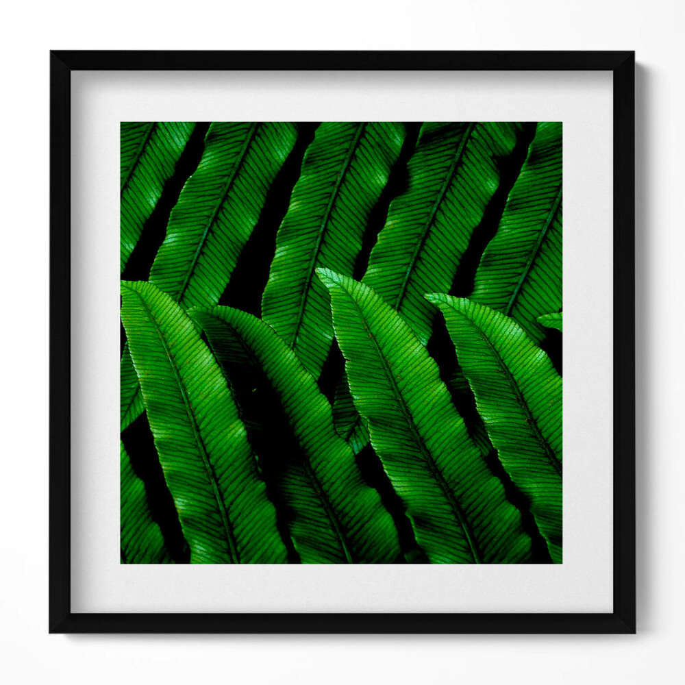 Keretezett falikép Zöld levelek mintázata