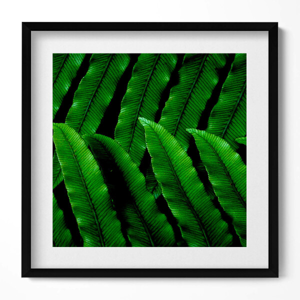 Keretezett falikép Zöld levelek mintázata