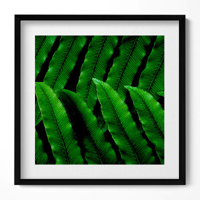 Keretezett falikép Zöld levelek mintázata