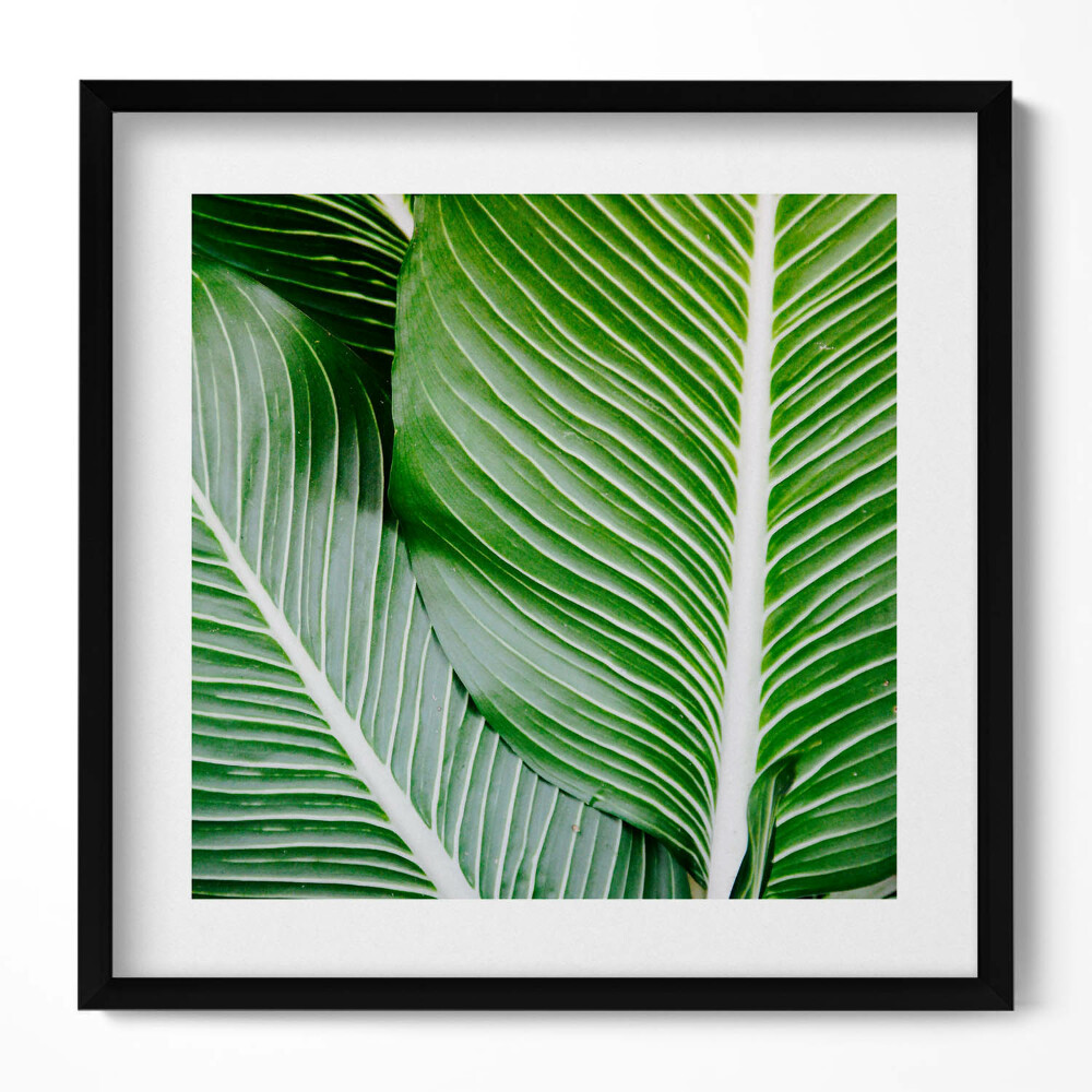 Keretezett falikép Zöld levelek közelről