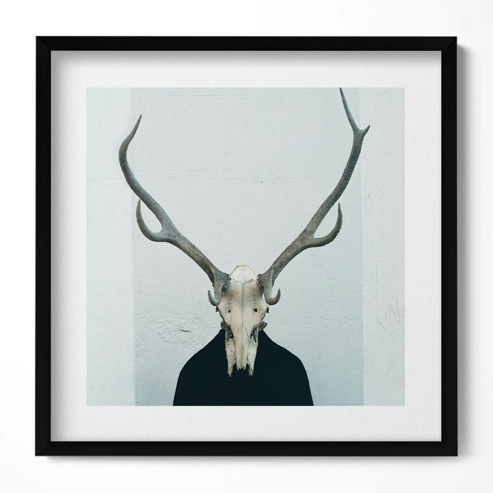 Keretezett falikép A koponya és szarvak kontrasztja